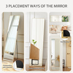 Full Modern Accent Mirror  Floor Mirrors