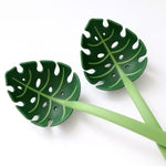 Tools Pasta Scoop Colander Spoon Colander Kitchen