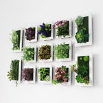 Succulent Wall Decor