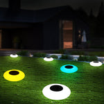 Peacock 3D Acrylic LED Light