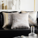 Throw Pillow Cushion