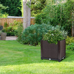 Raised Garden Bed Plant