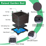 Raised Garden Bed Plant