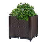 Raised Garden Bed Plant