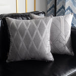 Throw Pillow Cushion