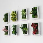Succulent Wall Decor